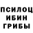Псилоцибиновые грибы мухоморы purgenil