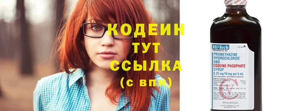 прущий лед Бородино