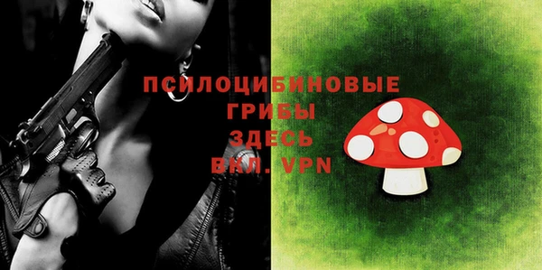 прущий лед Бородино