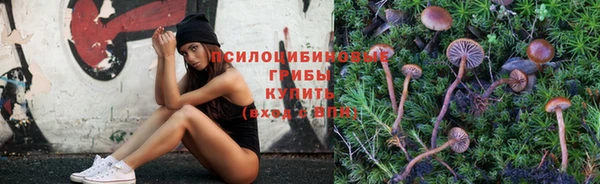 прущий лед Бородино