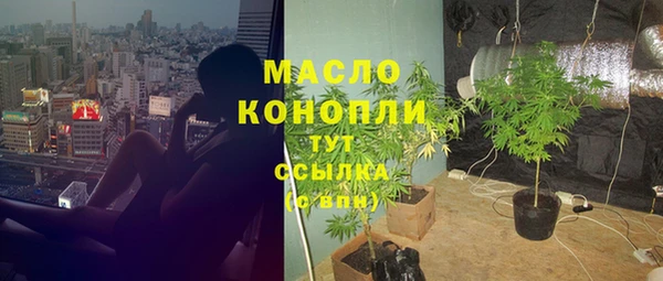 прущий лед Бородино