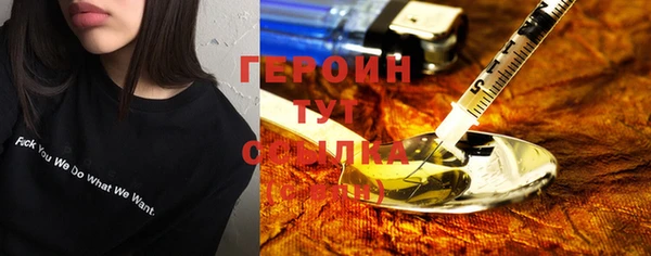 прущий лед Бородино